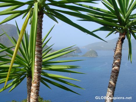 Postcard Les Saintes - Pain de Sucre