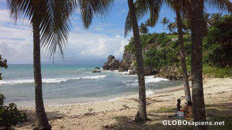Postcard Vinaigri Beach on Gwadeloupe Island