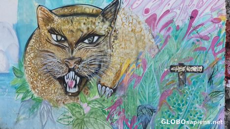 Postcard Funny mural
