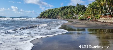 Black sand beach