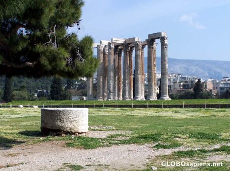 Postcard A lonely section of a column at the Temple of Zeus