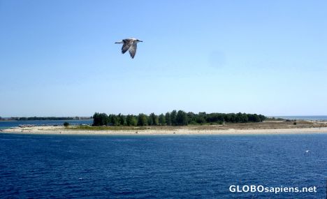 Postcard Flight