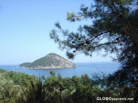 Postcard Paradisos