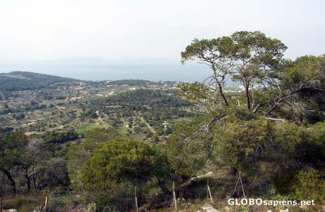 Postcard View of the city from the Temple of Aphaea