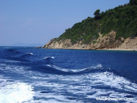 Postcard Green shores of Skiathos