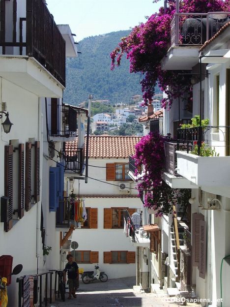Postcard Wandering in Skiathos