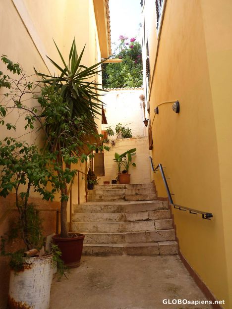 Postcard Sunny alley