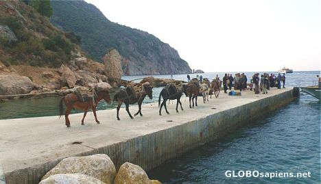 Postcard Caravan on the jetty