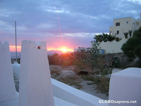 Postcard Sunrise with a black cat