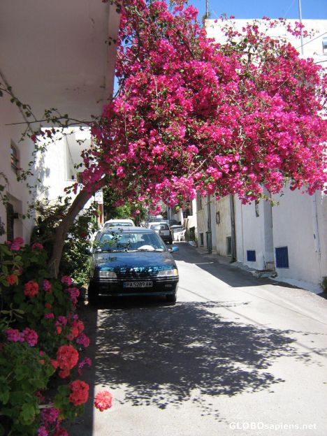 Postcard Agia Galini