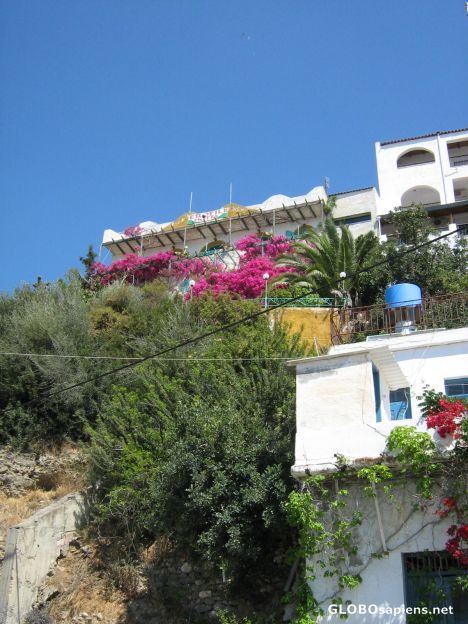 Postcard Agia Galini