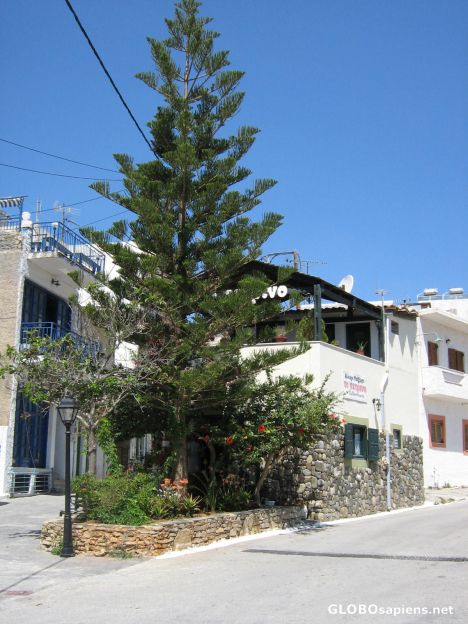 Postcard Agia Galini
