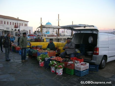 Postcard Selling fresh fish