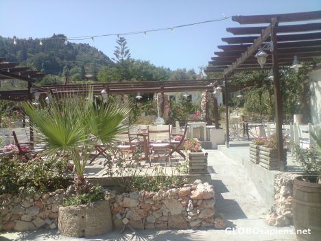 The Green Frog Bar