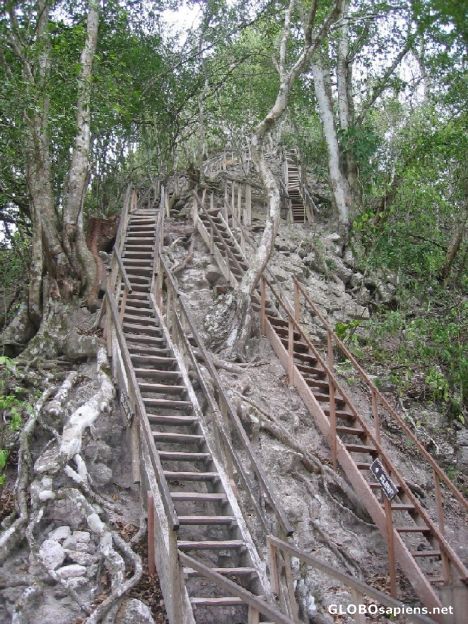 Postcard Stairs to top of Temple IV