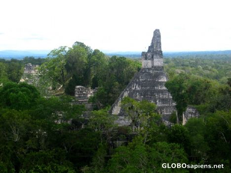 Postcard Side View of Temple I from Top of Temple V