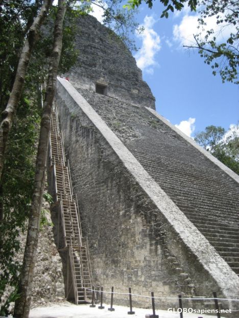 Postcard The ladder like stairs up Temple V