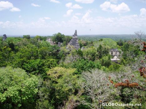 Postcard The view from top of Temple V