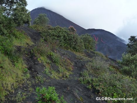 Postcard Our first sighting of lava flows on Pacaya Volcano