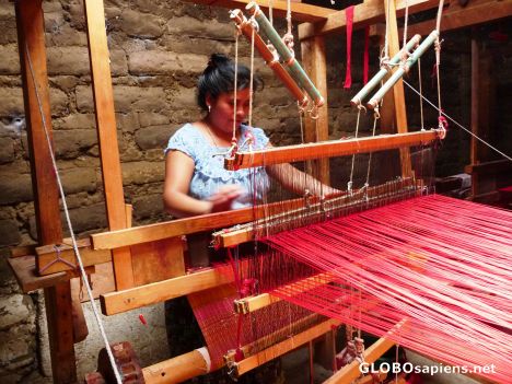 Postcard Weaver at her loom, finger a blur!