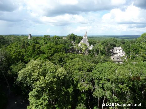 Postcard View from top of Temple V