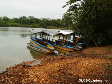 Postcard Our Boat Launch on the Rio Pasion
