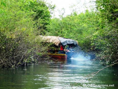 Postcard Water Bus makes its way up the Rio Pasion