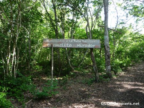 Postcard The Entrance Sign to the El Mirador Trek