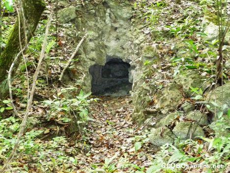 Postcard Common Sight - Looter's hole