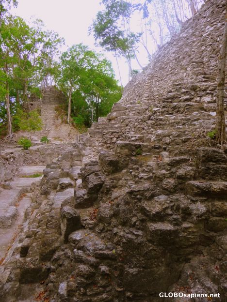 Postcard A side view of La Danta and Temple