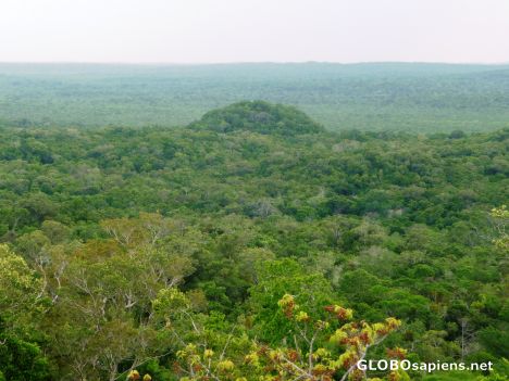 Postcard Looking at El Tigre from top of La Danta