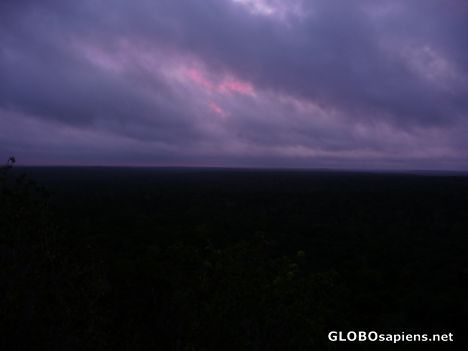 Sunrise in the Rain Forest