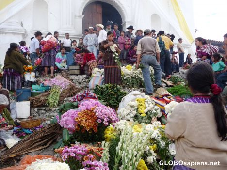 Postcard Flower Market on the stairs of the Church
