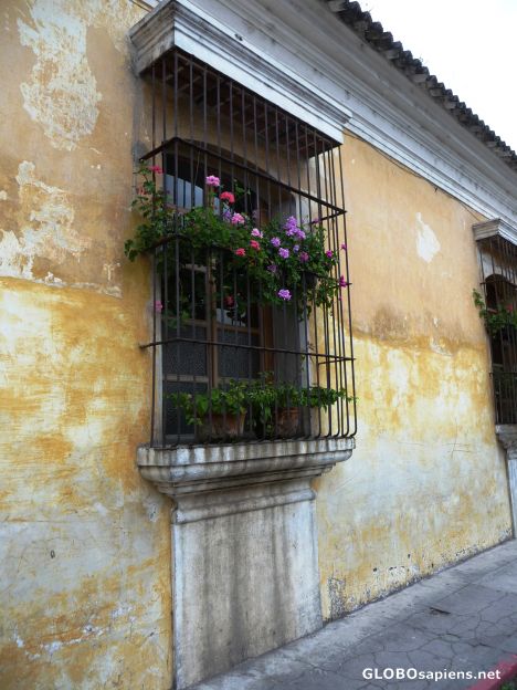 Postcard Typical in Antigua- window grill with flowers