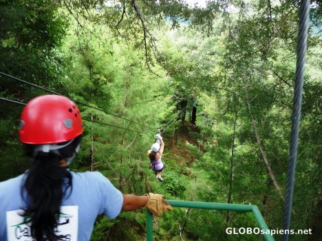 Postcard Zip Lining on a Coffee Plantation