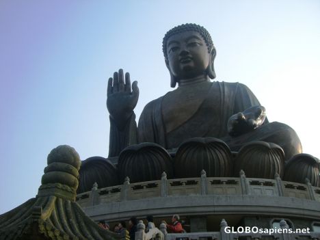 Postcard Tian Tan Buddha