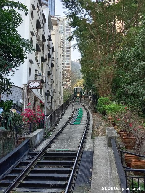 Postcard Tram View