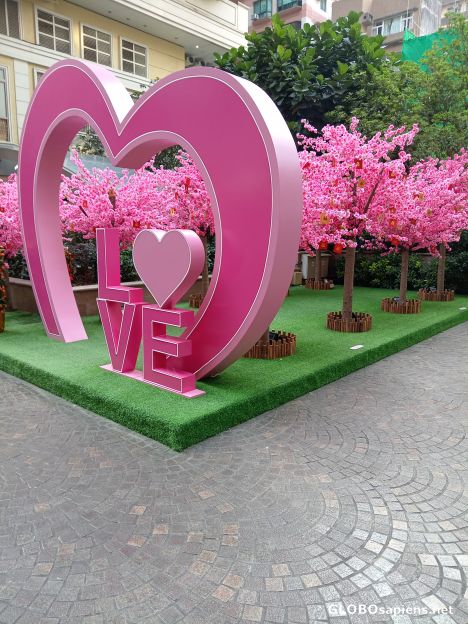 Postcard With Love