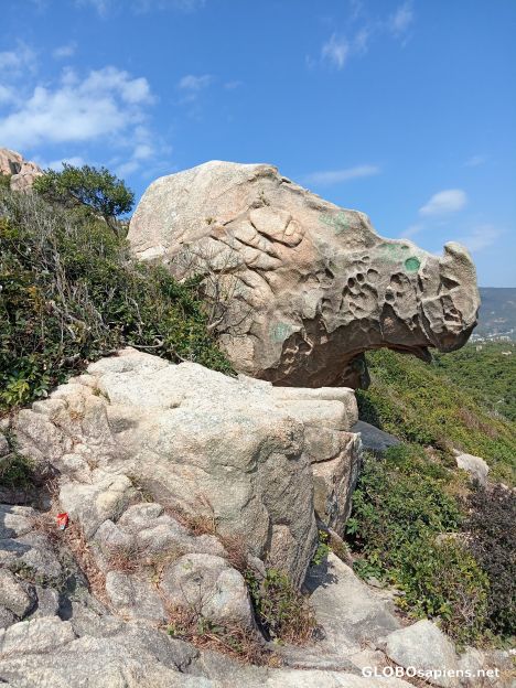 Postcard Rhino Rock