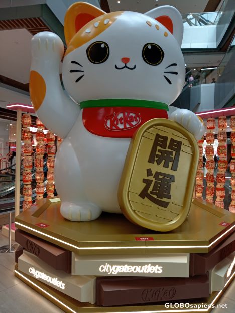 Postcard Lucky Cat