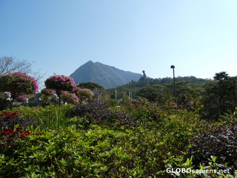 Postcard The Village