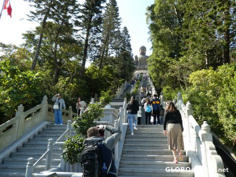 Postcard Steps