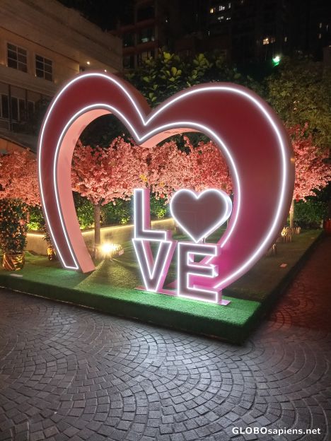 Postcard Say I Love You..