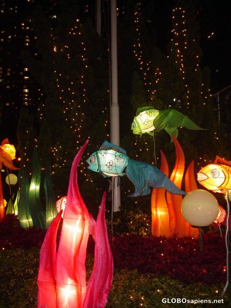 Postcard chinese lantern