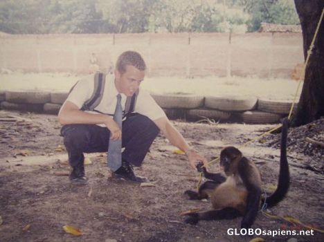 Monkey in Yusgare, Honduras