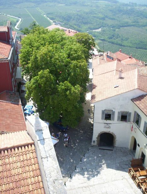 Postcard down from the tower