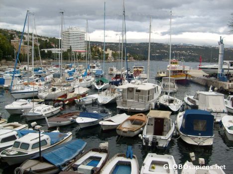 Postcard Yacht Harbour