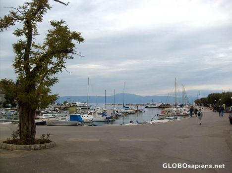 Postcard Harbour
