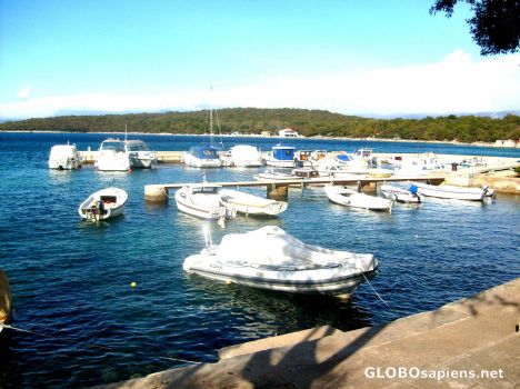 Postcard Harbouring