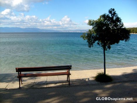 Postcard Empty Bench